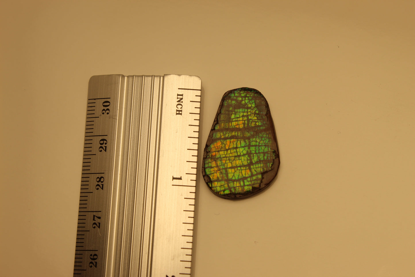 Ammolite Pendant A-#5