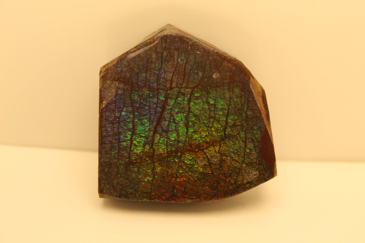 Ammolite Pendant A-#10
