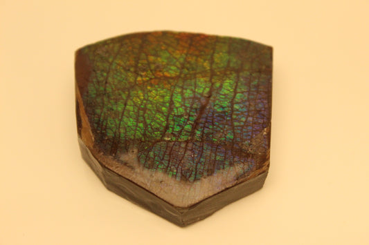 Ammolite Pendant A-#10