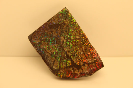 Ammolite Pendant A-#11