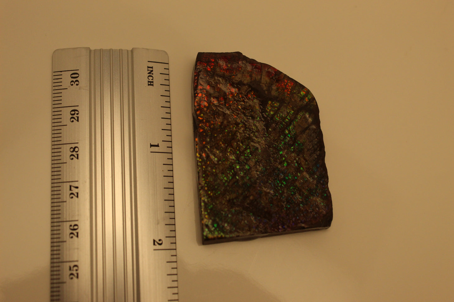 Ammolite Pendant A-#11