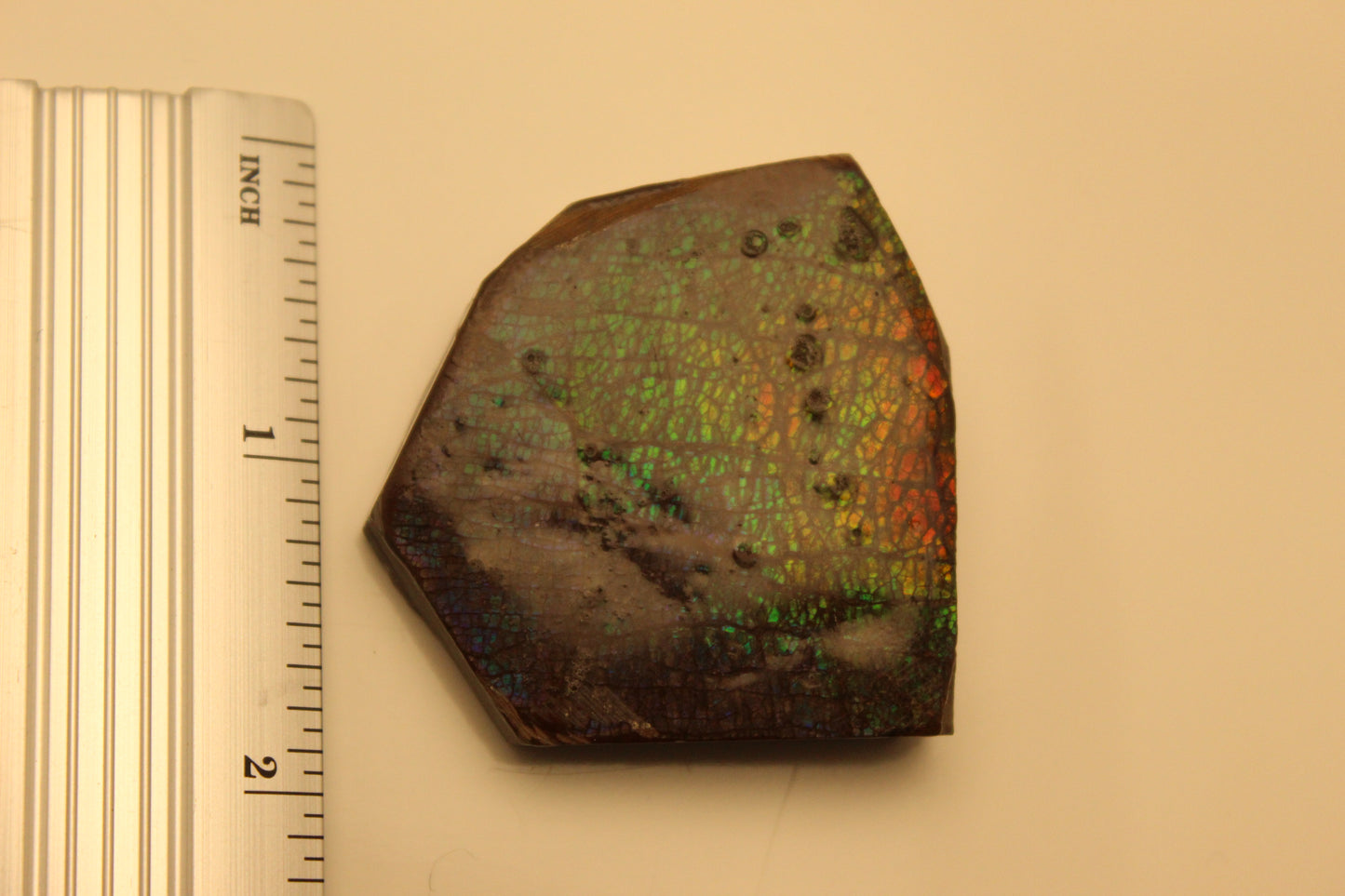 Ammolite Pendant A-#10