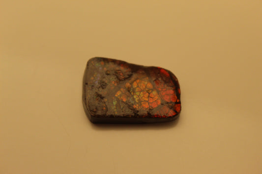 Ammolite Pendant A-#9