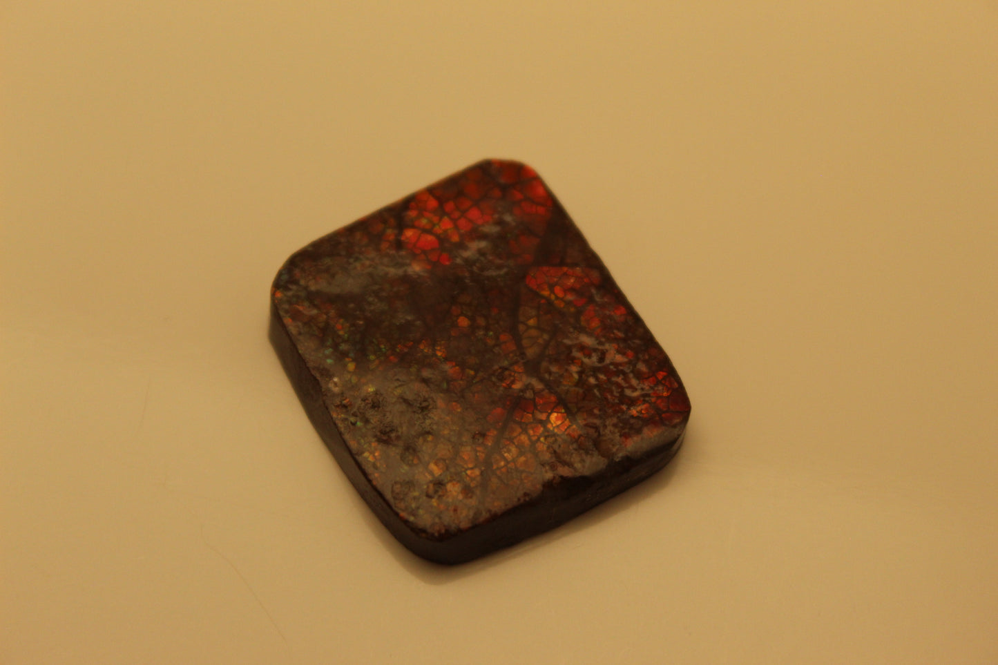 Ammolite Pendant A-#8