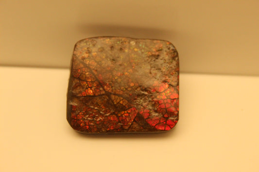 Ammolite Pendant A-#8
