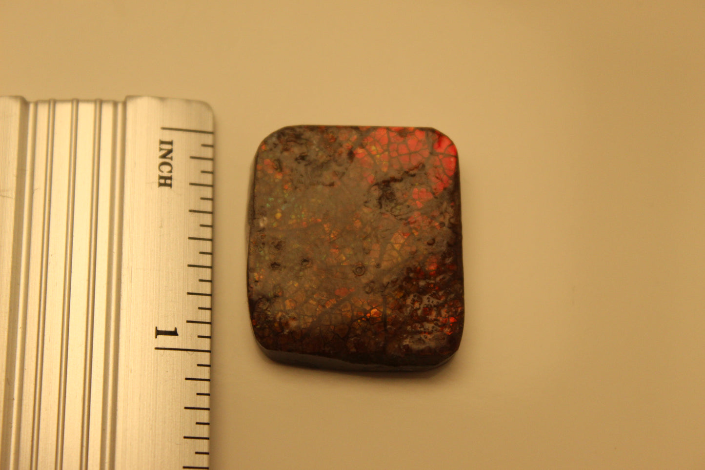 Ammolite Pendant A-#8