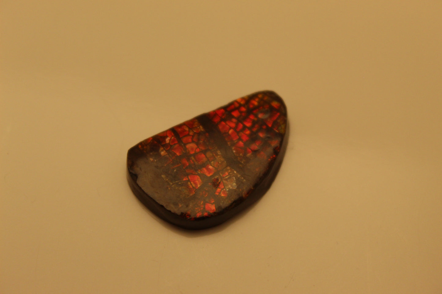 Ammolite Pendant A-#7