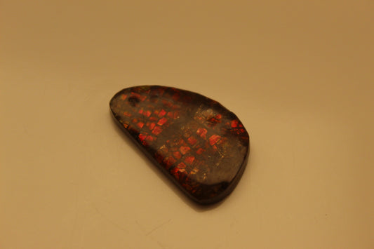 Ammolite Pendant A-#7