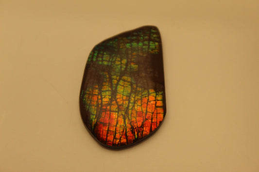 Ammolite Pendant A-#6