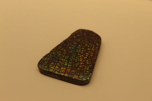 Ammolite Pendant A-#13