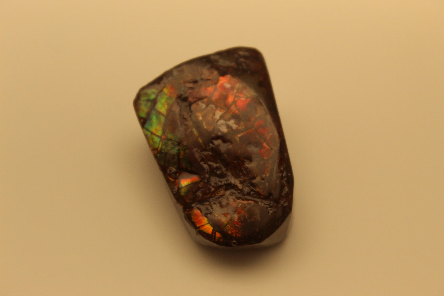 Ammolite Pendant A-#14