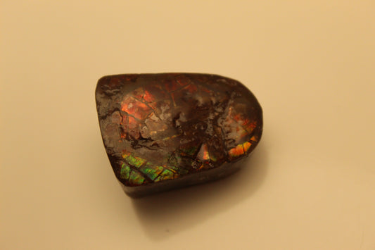 Ammolite Pendant A-#14