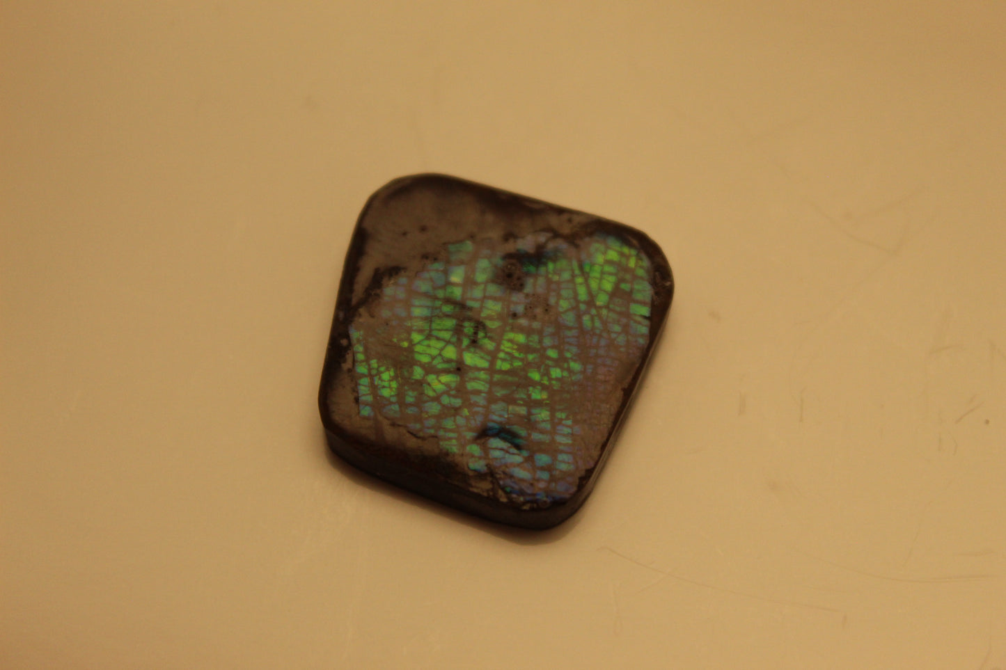 Ammolite Pendant A-#12
