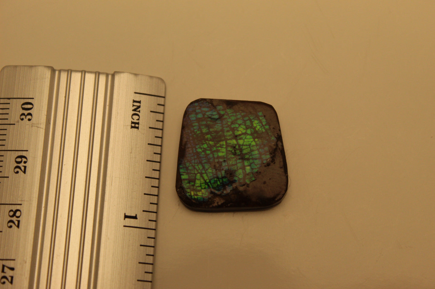 Ammolite Pendant A-#12