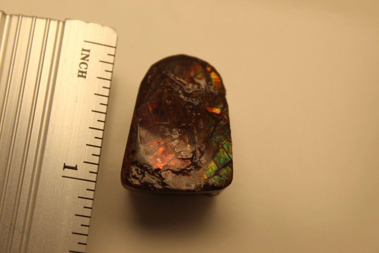 Ammolite Pendant A-#14