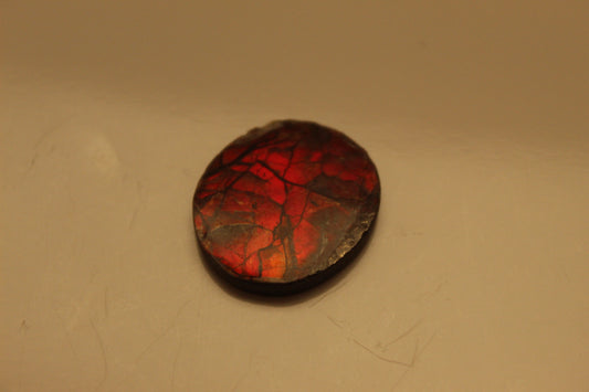 Ammolite Pendant A-#15