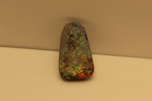 Ammolite Pendant A-#16