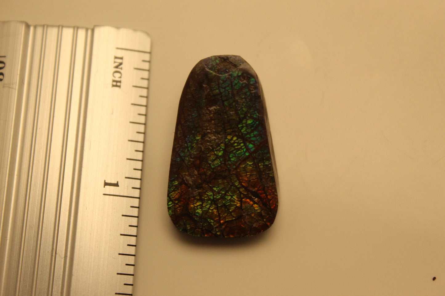 Ammolite Pendant A-#16