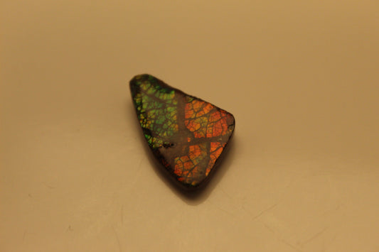 Ammolite Pendant A-#17