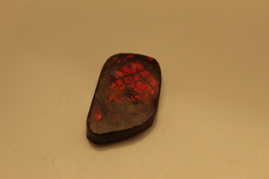 Ammolite Pendant A-#18