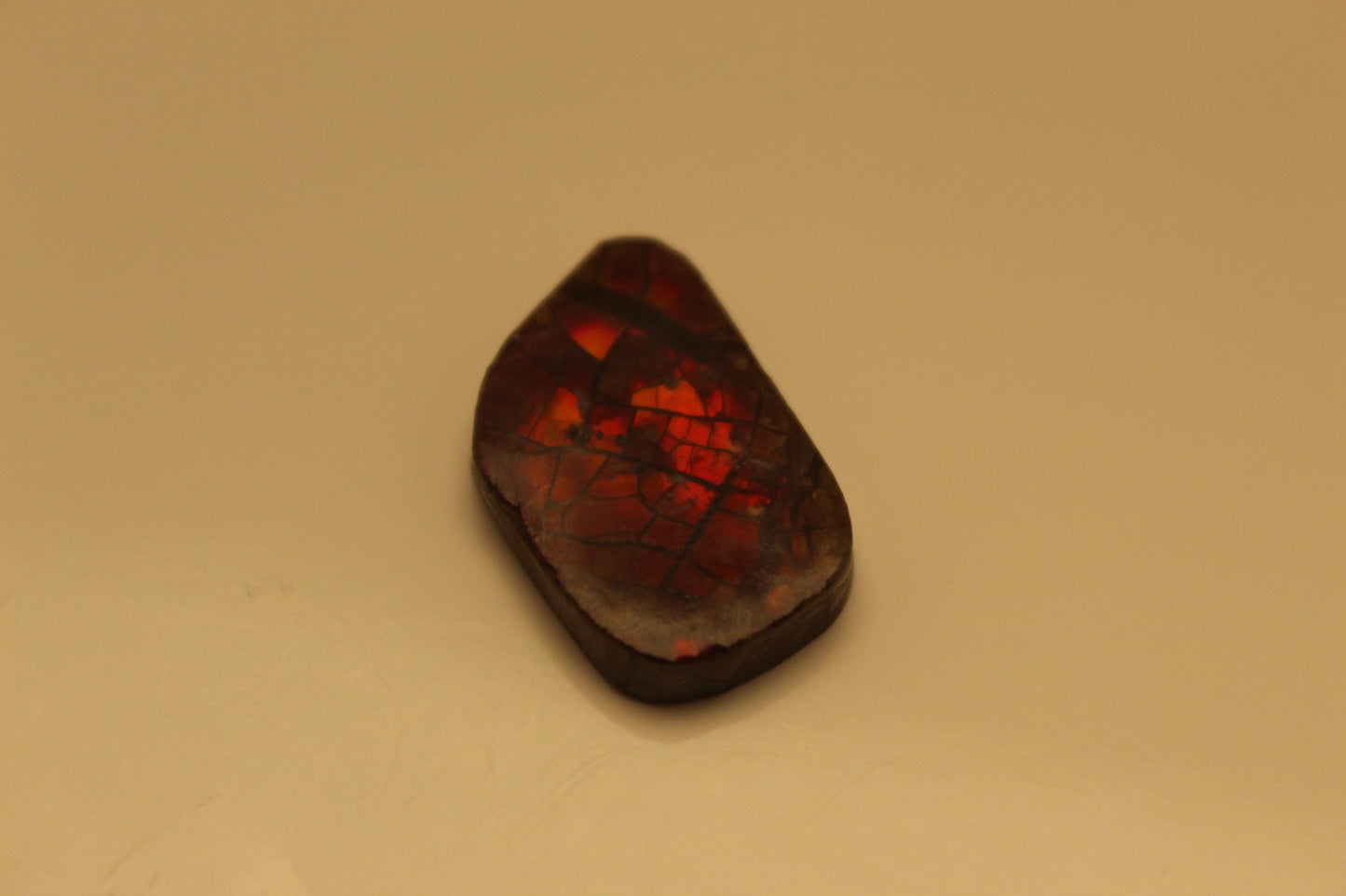Ammolite Pendant A-#18