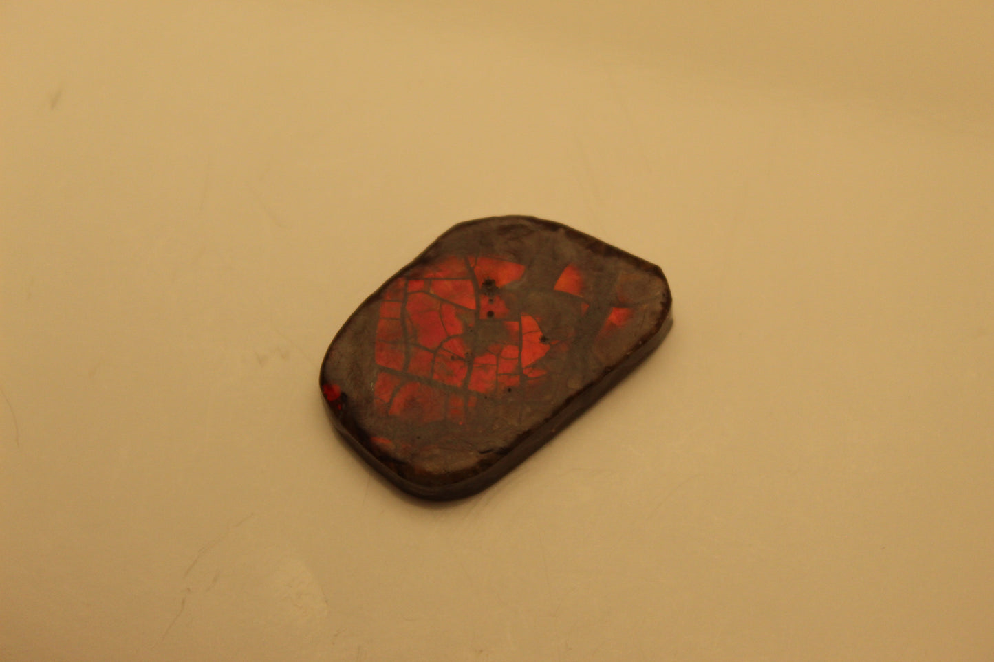 Ammolite Pendant A-#18