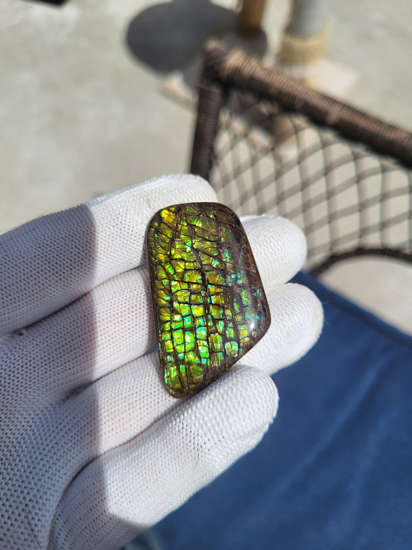 Freeform Ammolite Gemstone - CG47