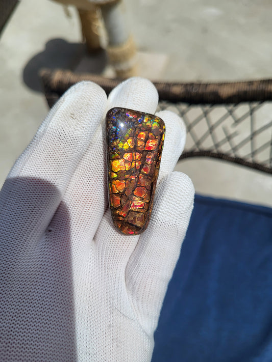 Freeform Ammolite Gemstone - CG52
