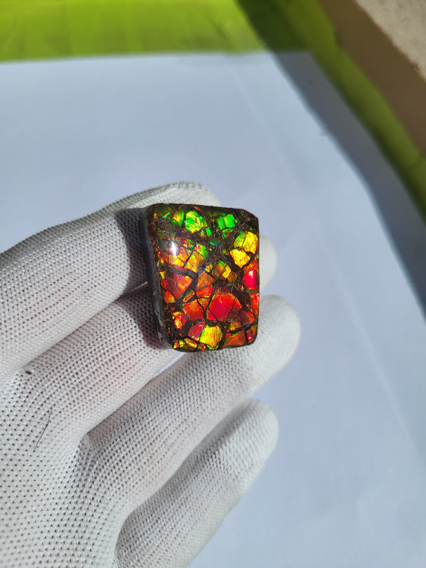 Freeform Ammolite Gemstone - CG02