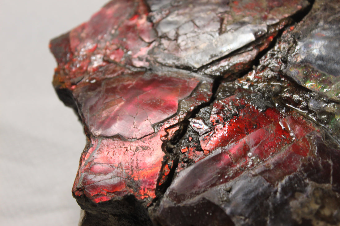 How Is Ammolite Formed?