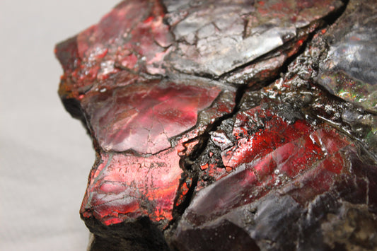 How Is Ammolite Formed?