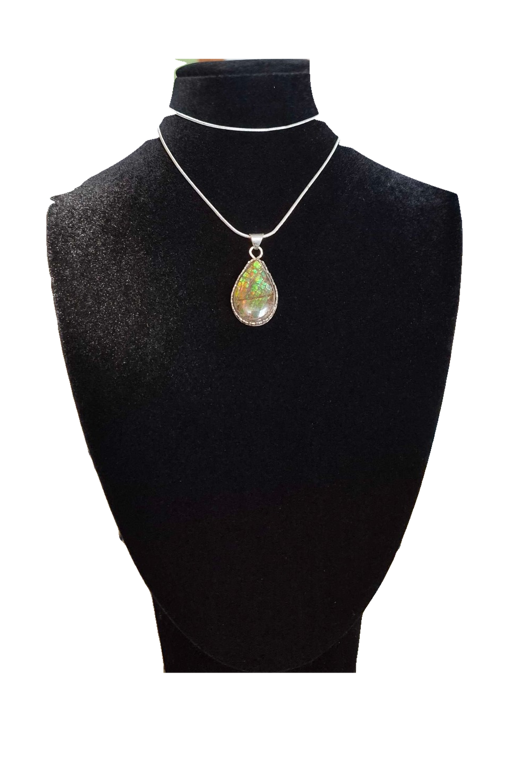 Natural Ammolite Silver Pendant - CGJP22