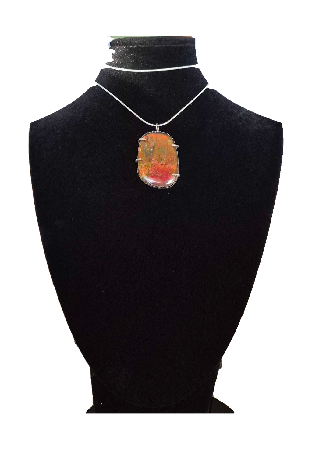 Natural Ammolite Silver Pendant - CGJP24
