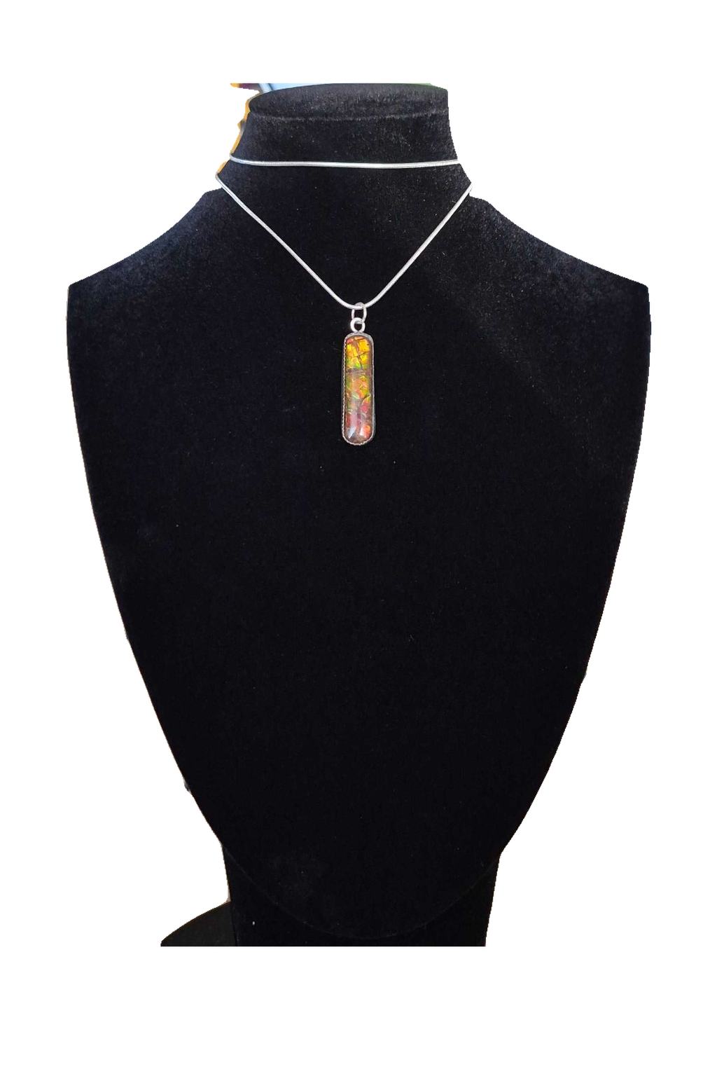 Natural Ammolite Silver Pendant - CGJP25