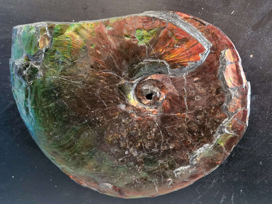 Shell 3