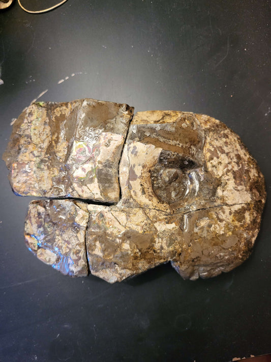 Shell 2