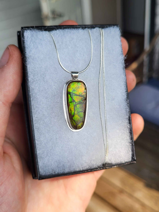 Ammolite Pendant