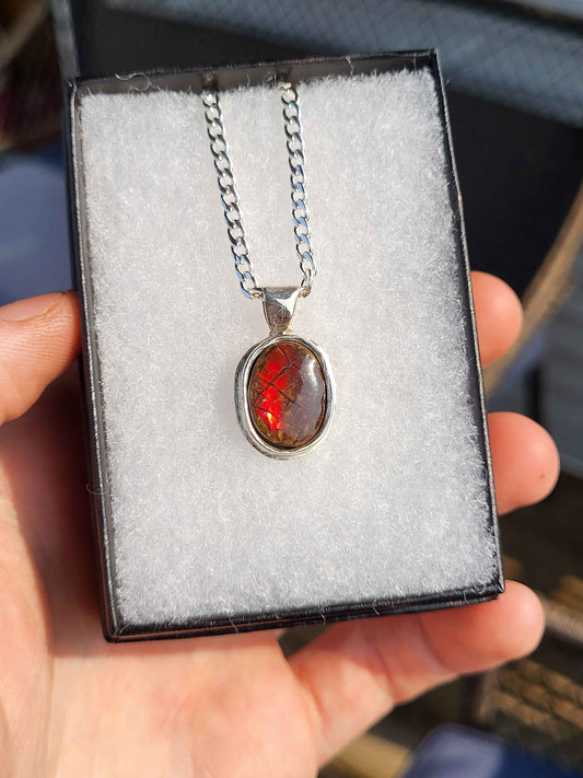 Ammolite Pendant