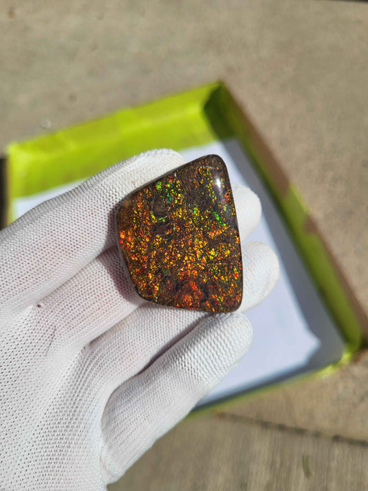 Freeform Ammolite Gemstone - CG03