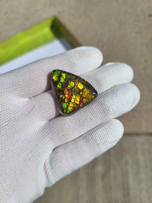 Freeform Ammolite Gemstone - CG04