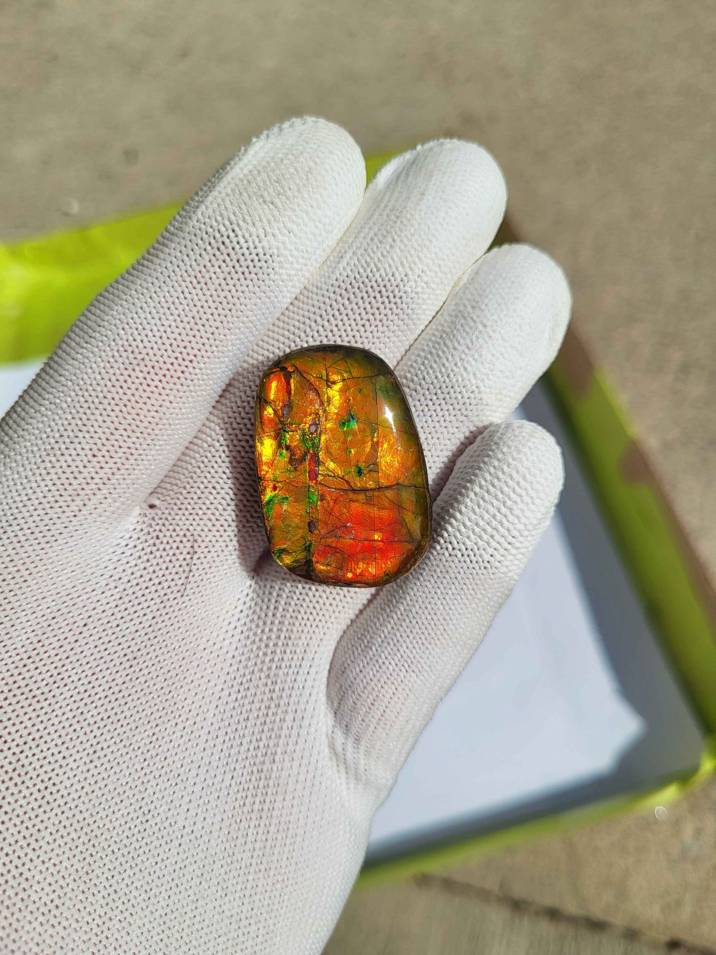 Freeform Ammolite Gemstone - CG05