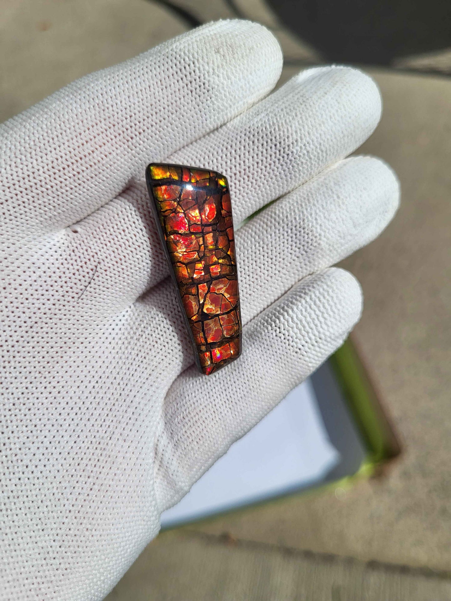 Freeform Ammolite Gemstone - CG06