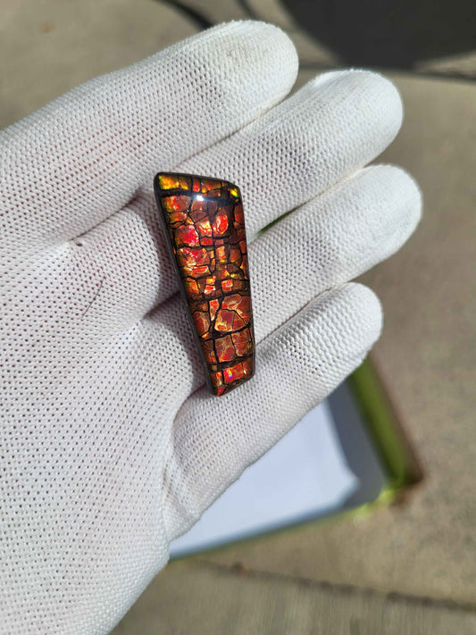 Freeform Ammolite Gemstone - CG06