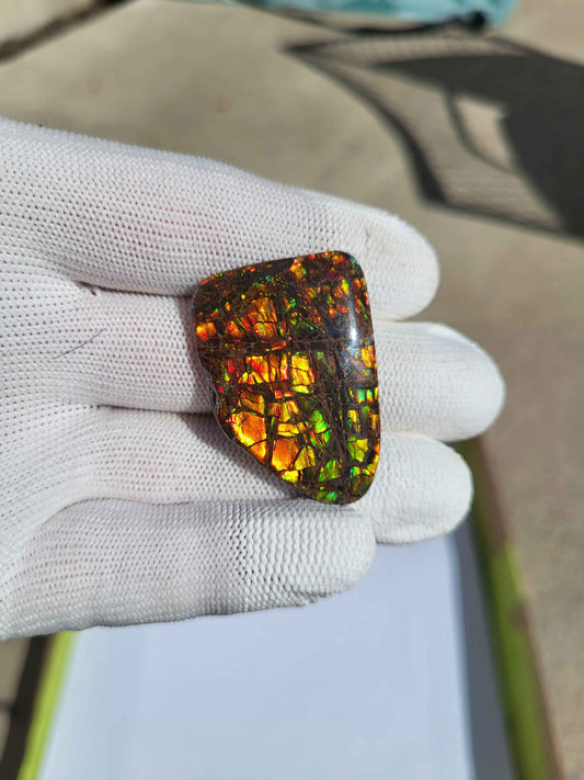Freeform Ammolite Gemstone - CG07