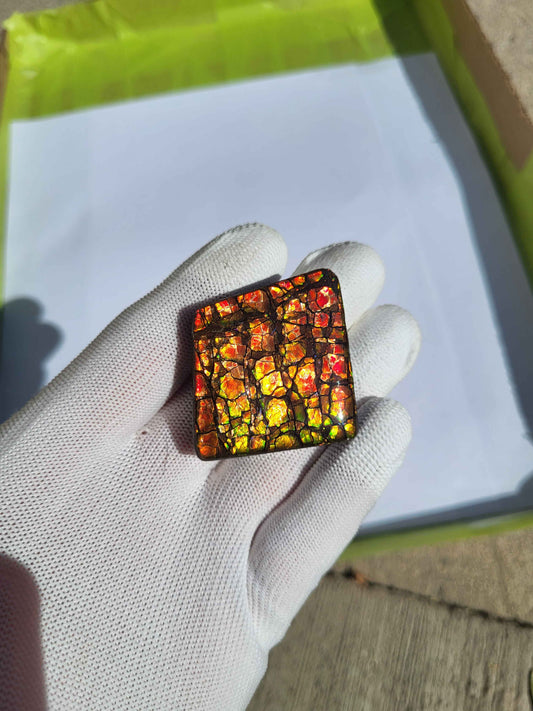 Freeform Ammolite Gemstone - CG08