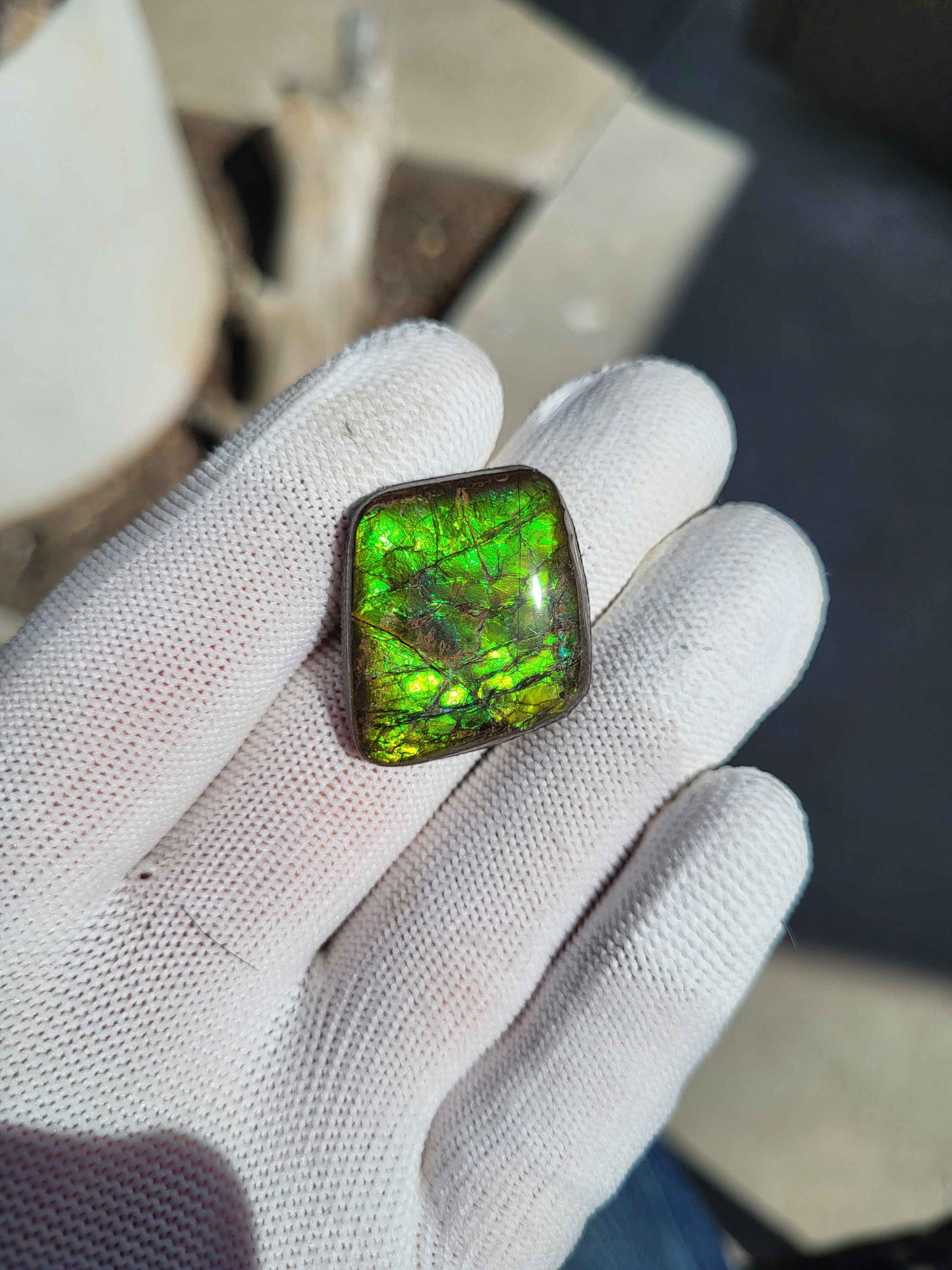 Freeform Ammolite Gemstone - CG15
