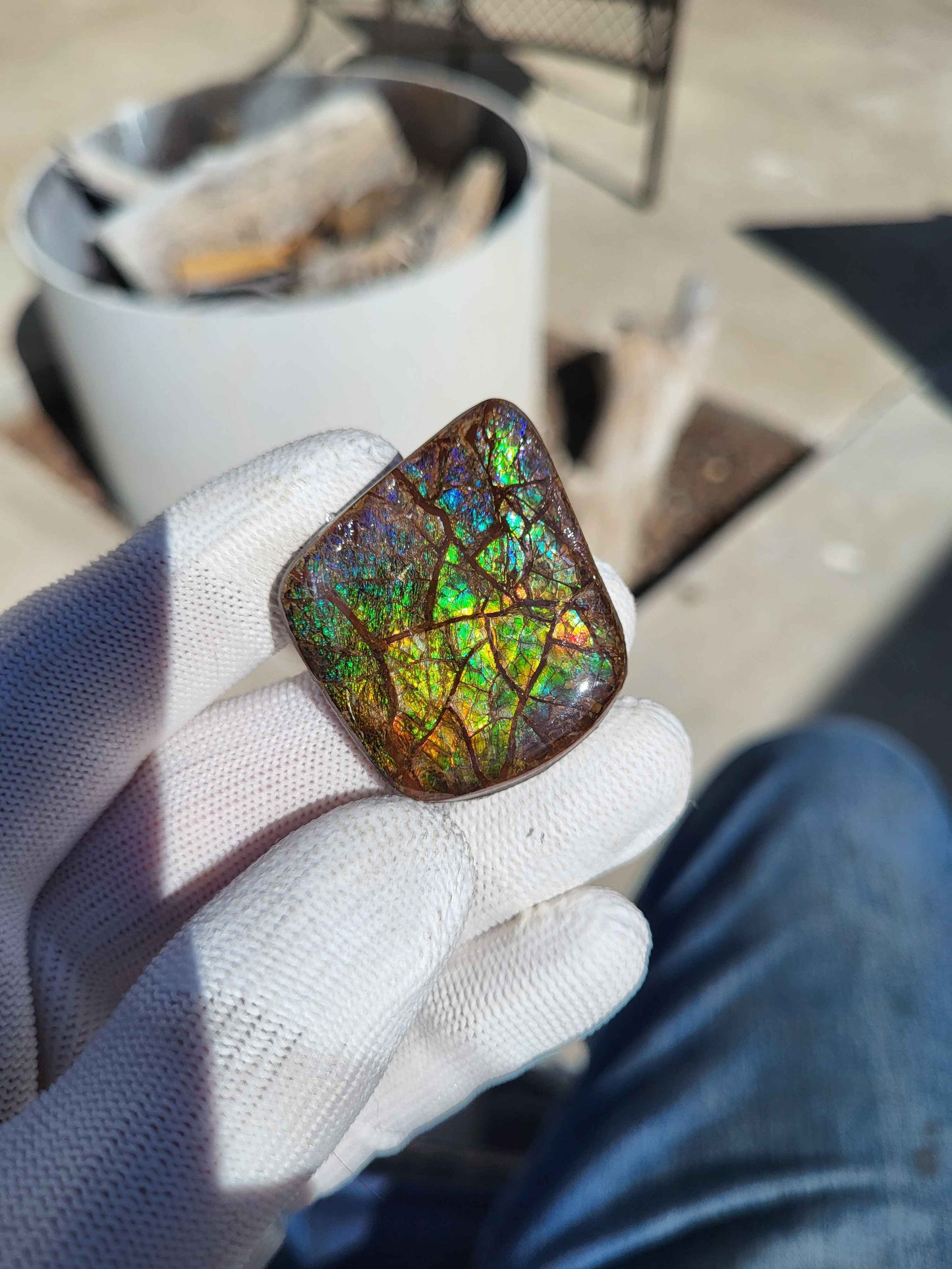 Freeform Ammolite Gemstone - CG16