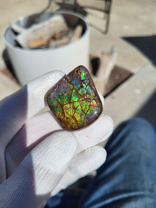 Freeform Ammolite Gemstone - CG16