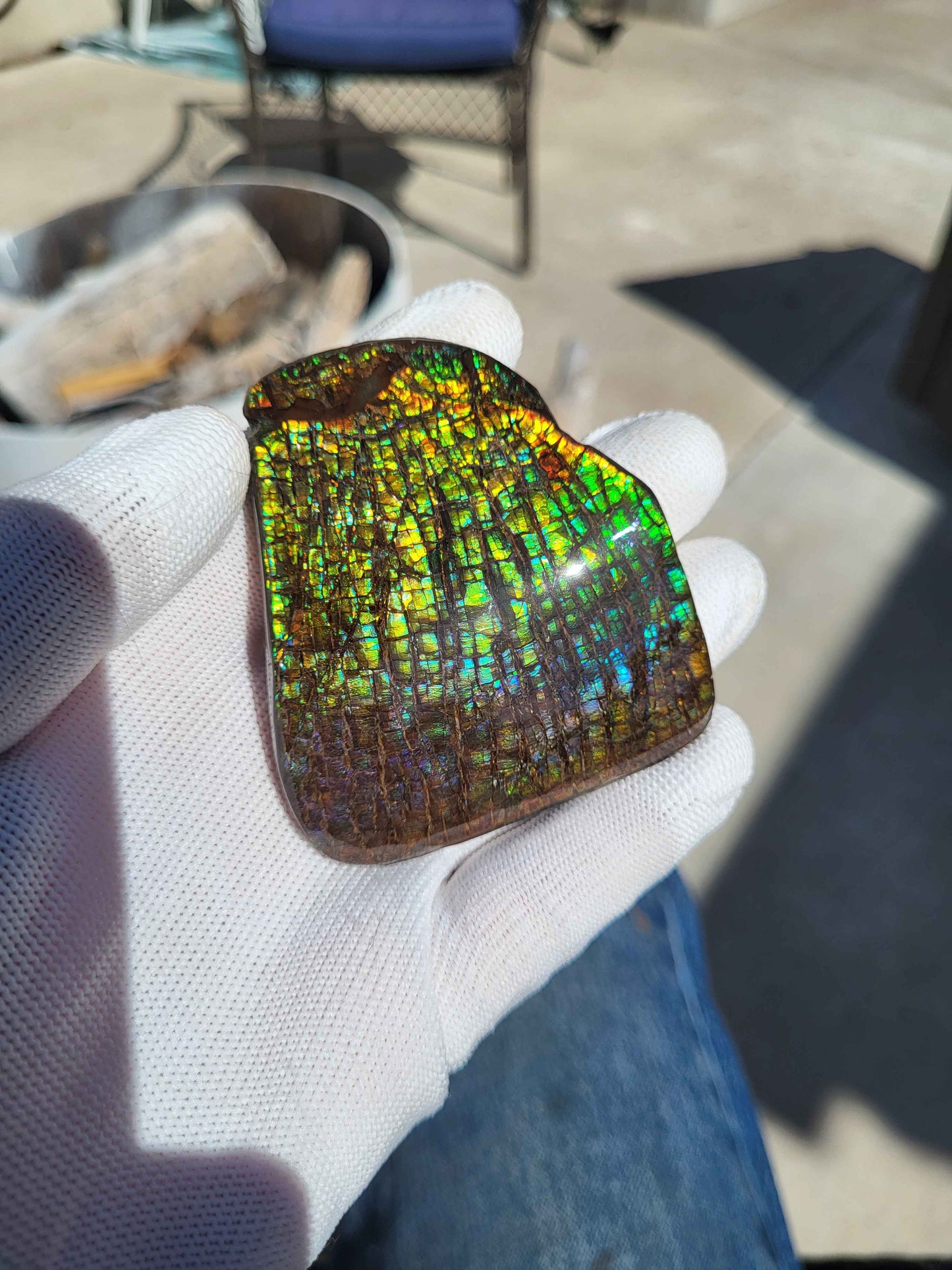 Freeform Ammolite Gemstone - CG22