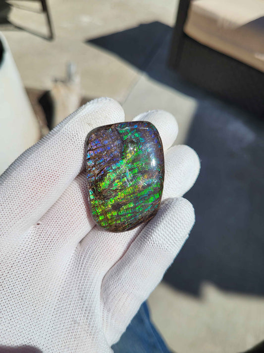 Freeform Ammolite Gemstone - CG25